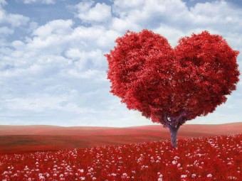 عيد الفالنتاين -valentine's day